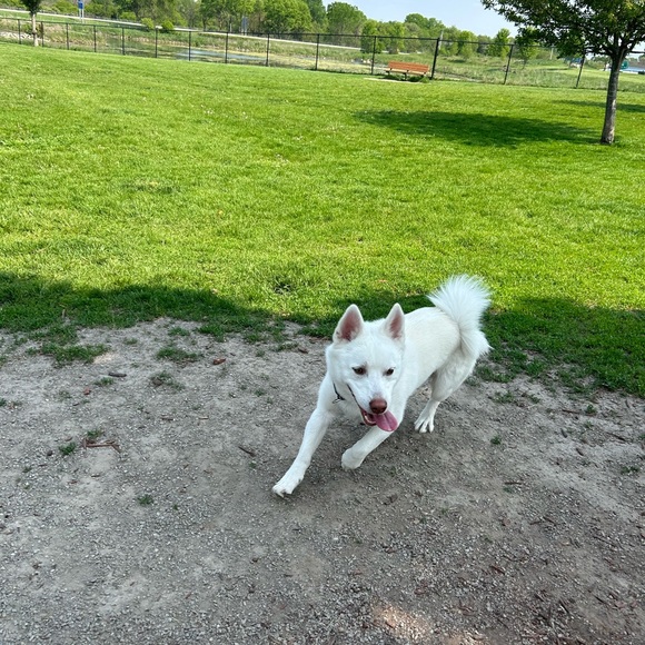 Meet your Posher, Mariuh - Picture 4 of 6